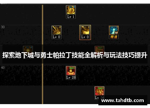 探索地下城与勇士帕拉丁技能全解析与玩法技巧提升